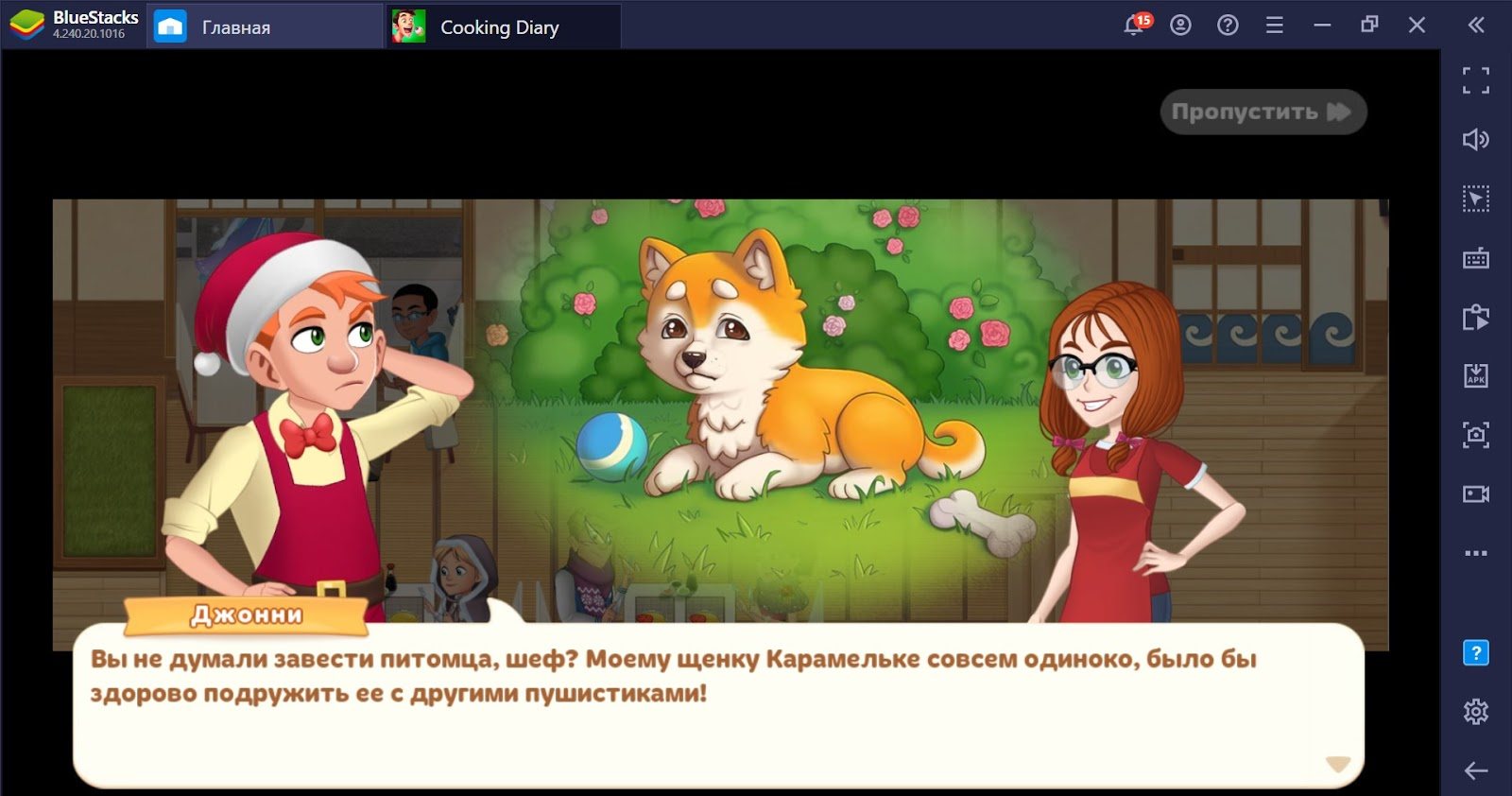 Cooking Diary. Гайд по питомцам